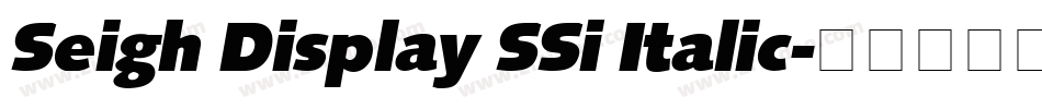 Seigh Display SSi Italic字体转换